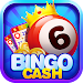 Bingo - Cash Win Real Money Bingo - Cash Win Real Money APK icon