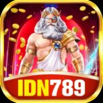 IDN789 APK icon