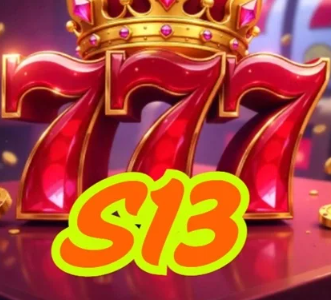S13 S13 APK icon